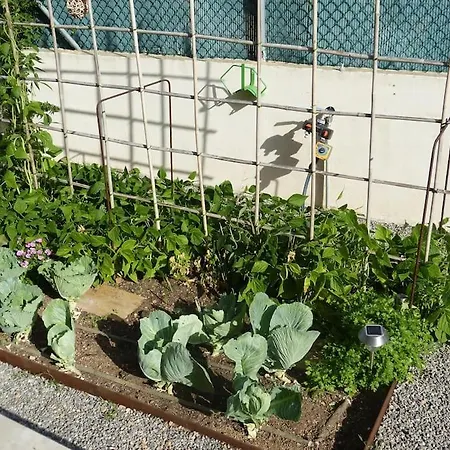 Ecological Tatil Evi *