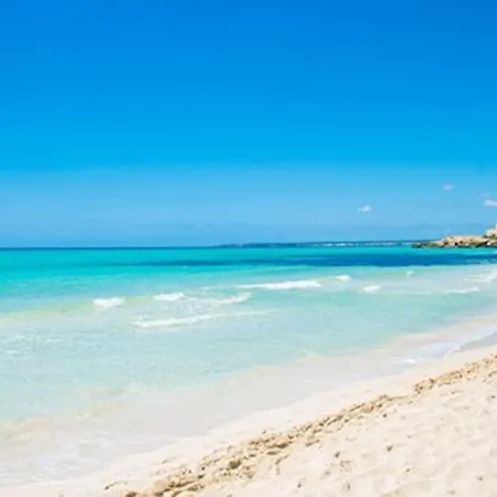 Tatil Evi Ecological Palma de Mallorca